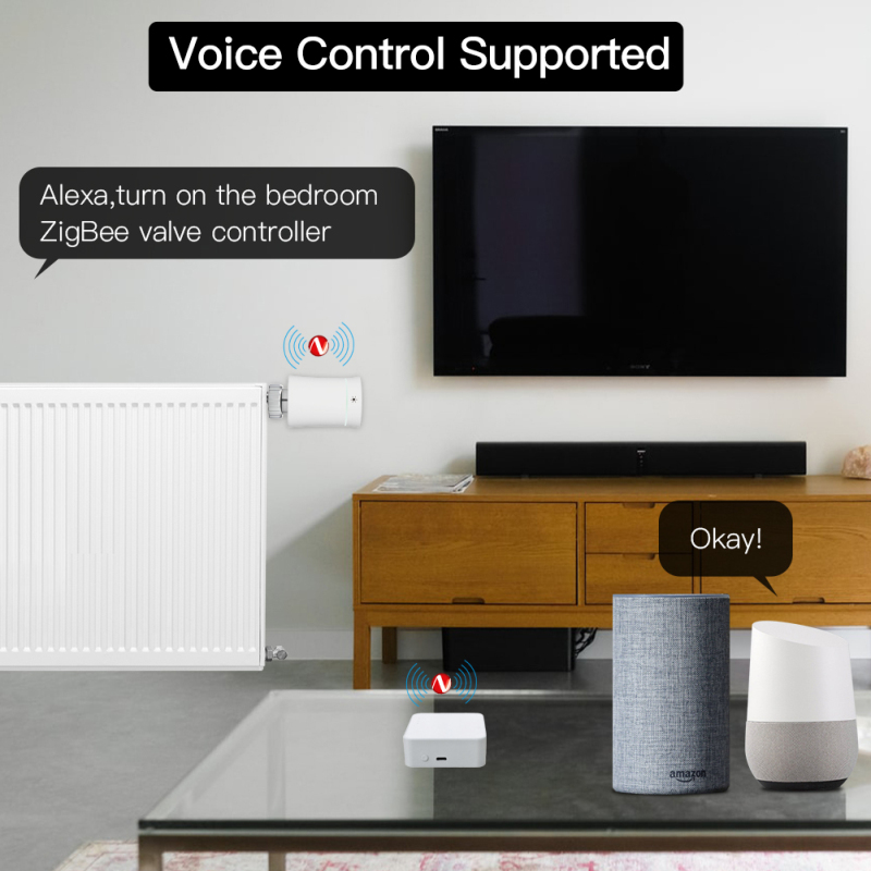 Tuya Smart Gateway Hub Multi-m - Smart Home Hub Matter recensie en prijs