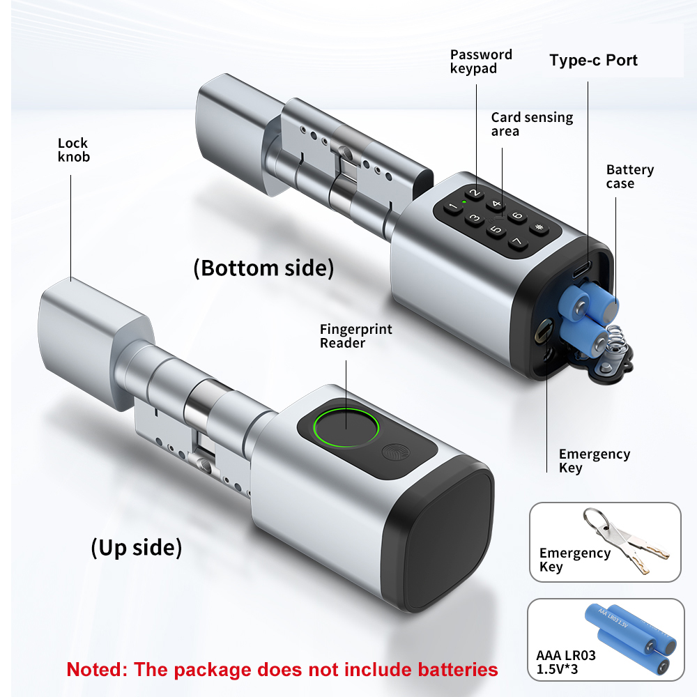 RAYKUBE V1 Tuya BLE TT Lock Sl - Smart Home Technology recensie en prijs