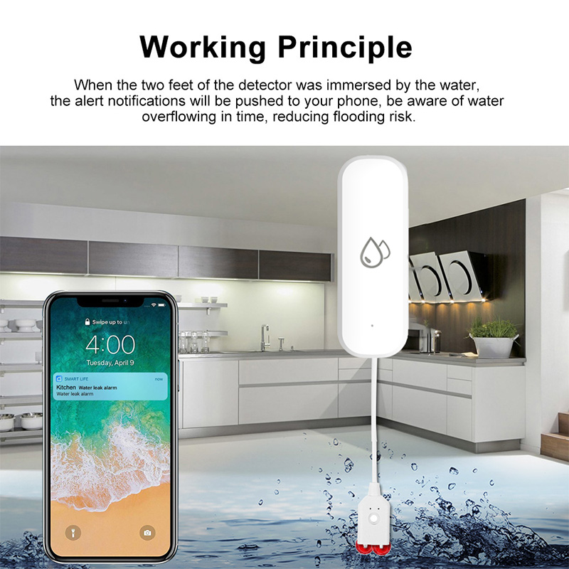 Tuya WiFi Waterlekkage Alarmse - Smart Home Proxmox recensie en prijs